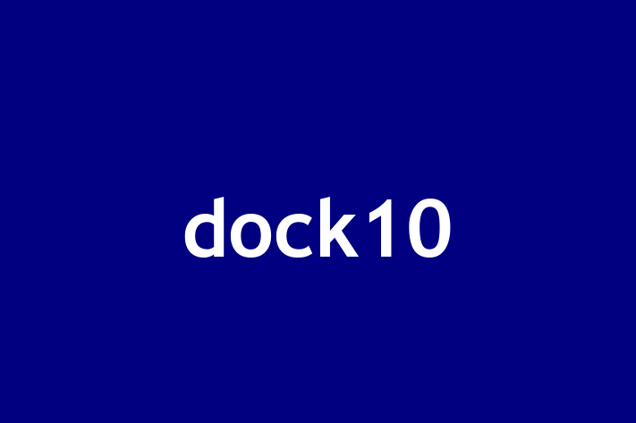 Tech Firm dock10