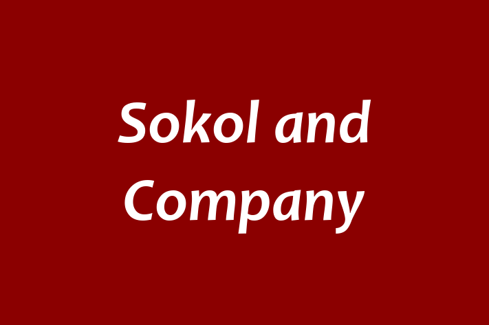 Talent Management Sokol and Company