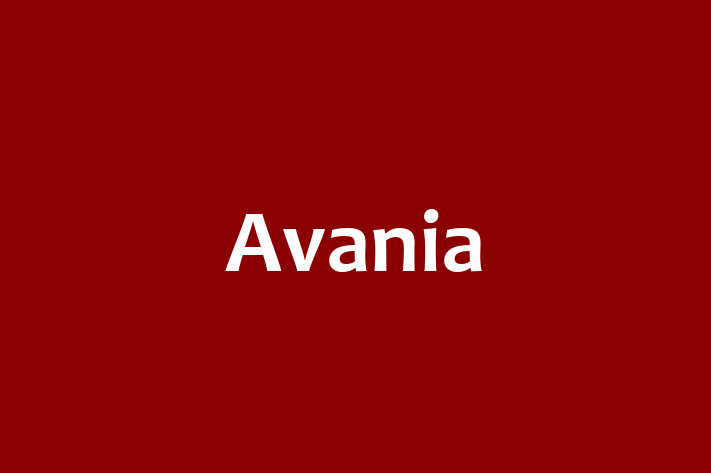 Employee Relations Avania