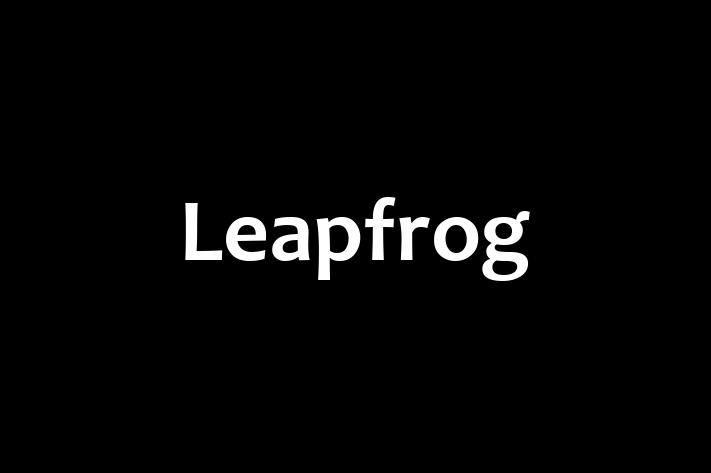 Tech Solutions Company Leapfrog