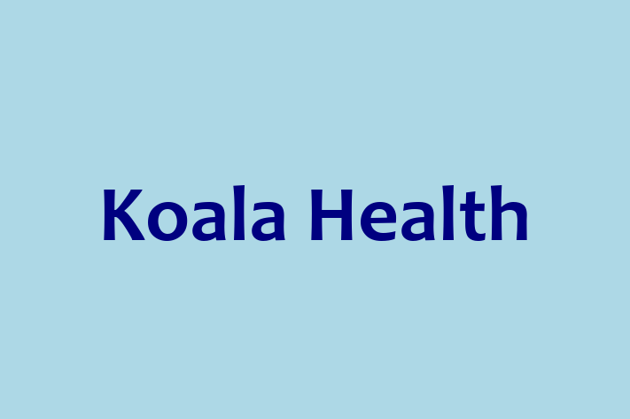 Human Capital Management Koala Health