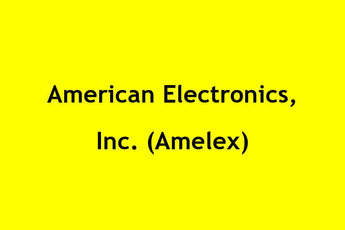 HR Administration American Electronics Inc. Amelex