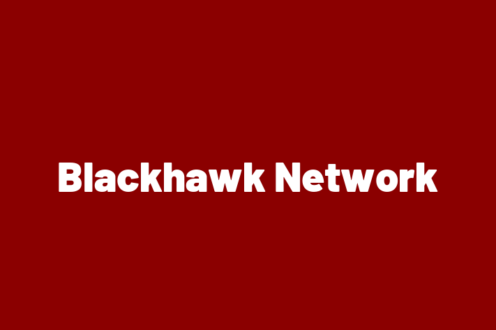 Software Engineering Company Blackhawk Network