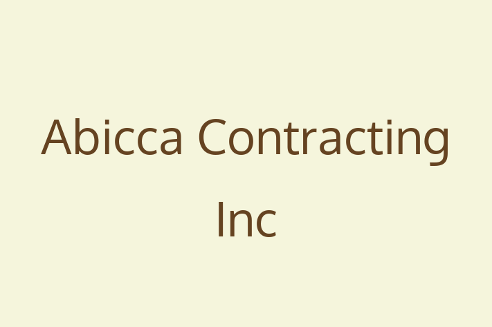 Construction firm Abicca Contracting Inc