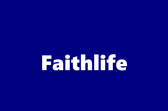 Technology Solutions Firm Faithlife