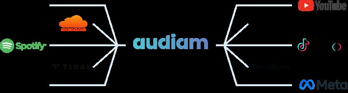 IT Company Audiam Inc