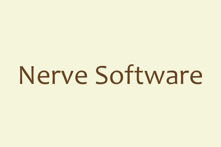 Software Consultancy Nerve Software