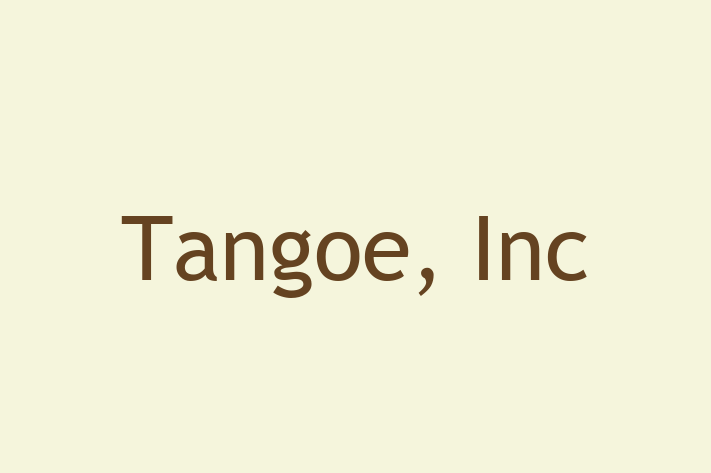 Software Engineering Company Tangoe Inc