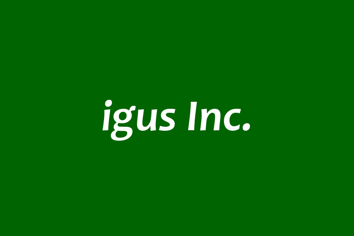 Talent Management igus Inc.