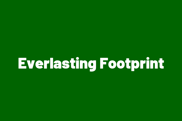 Technology Company Everlasting Footprint