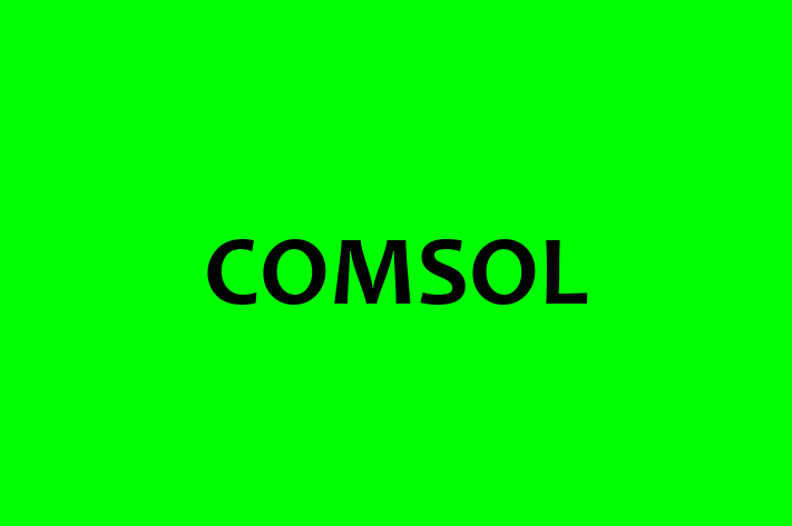 Software Development Company COMSOL