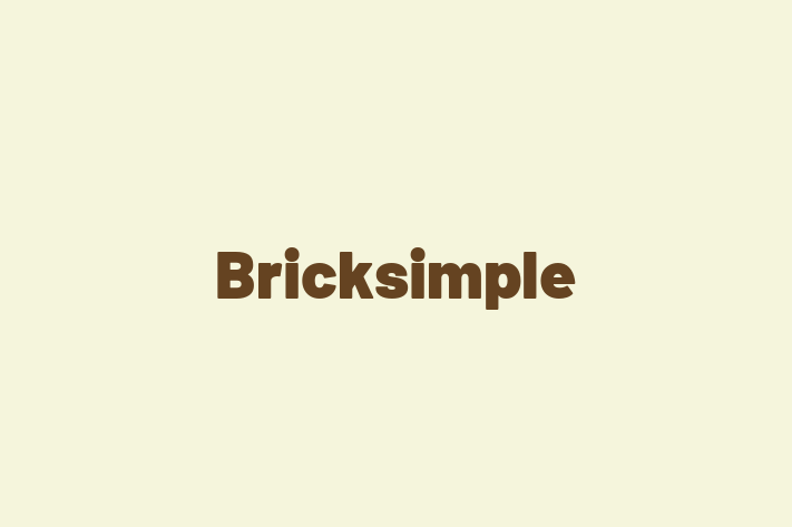 Technology Company Bricksimple