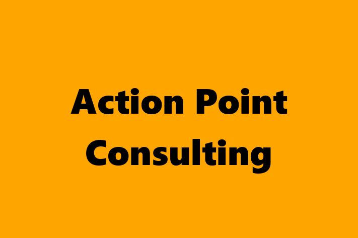 Tech Solutions Company Action Point Consulting