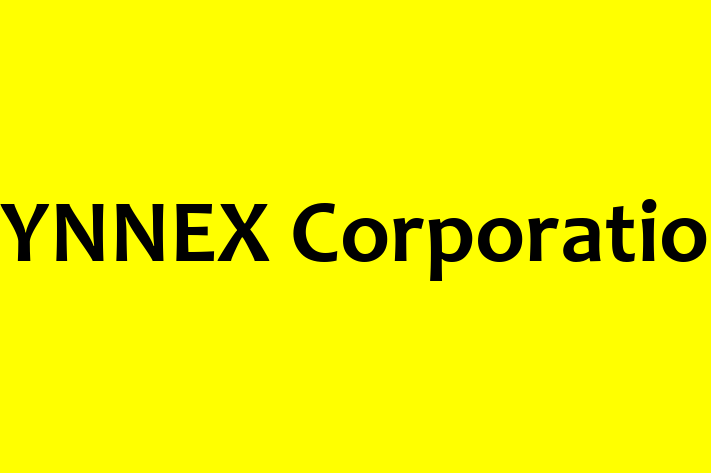 Software Engineering Company SYNNEX Corporation