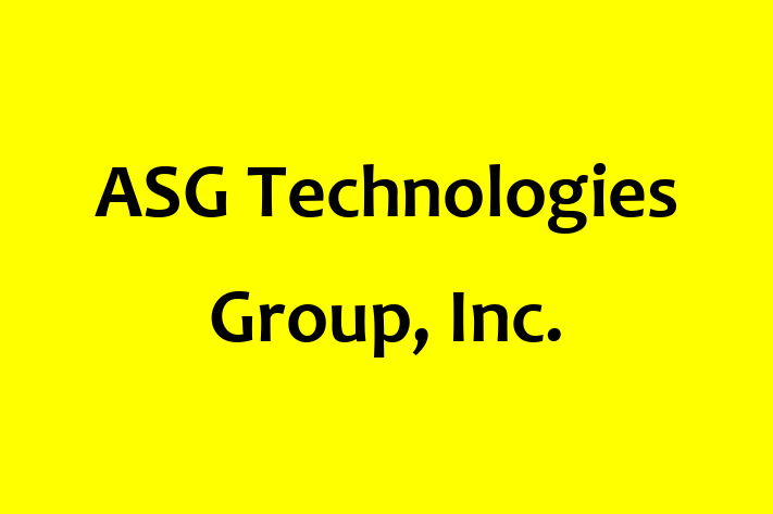 Technology Company ASG Technologies Group Inc.