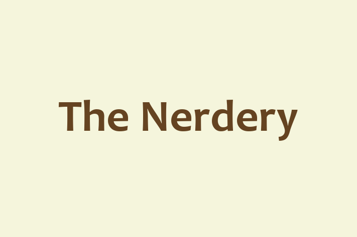 Software Consultancy The Nerdery