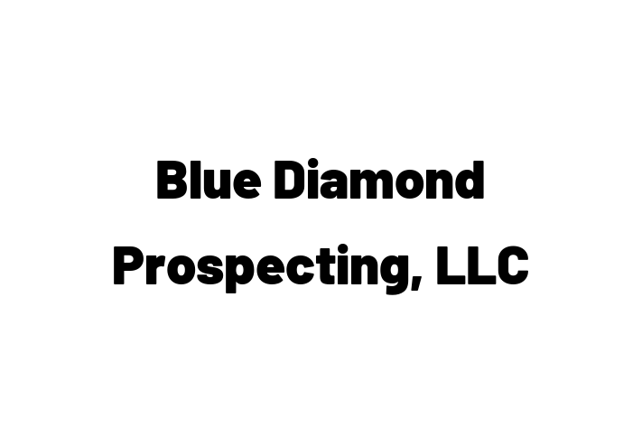 Talent Management Blue Diamond Prospecting LLC