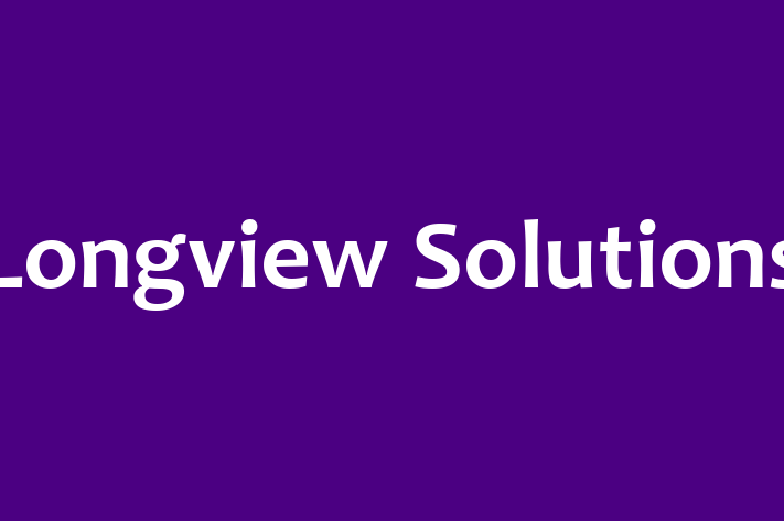 Software Engineering Company Longview Solutions