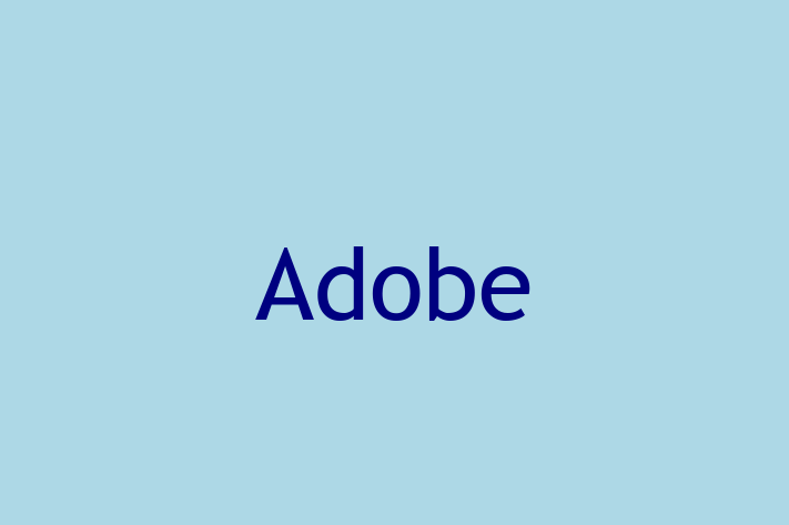 Application Development Company Adobe