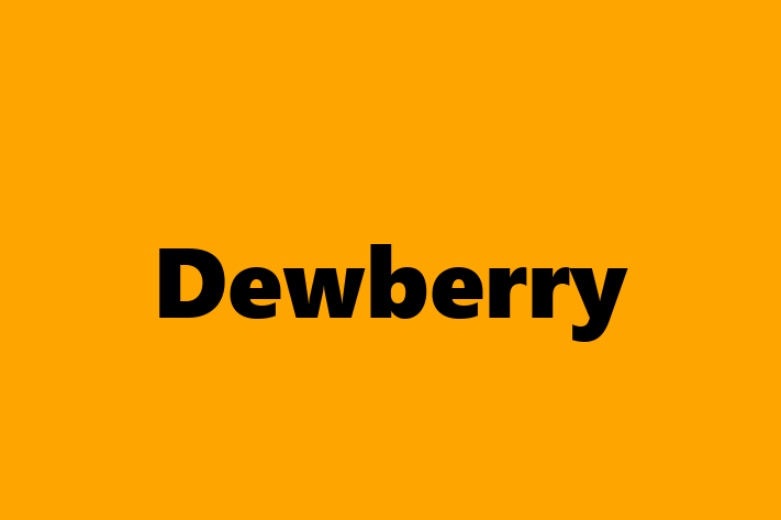 Application Development Company Dewberry