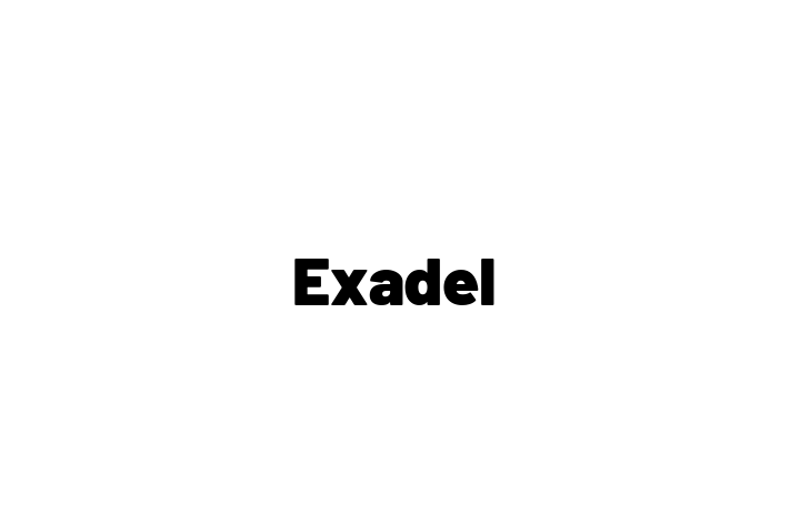 Software Solutions Provider Exadel