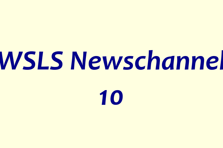 Software Development Firm WSLS Newschannel 10