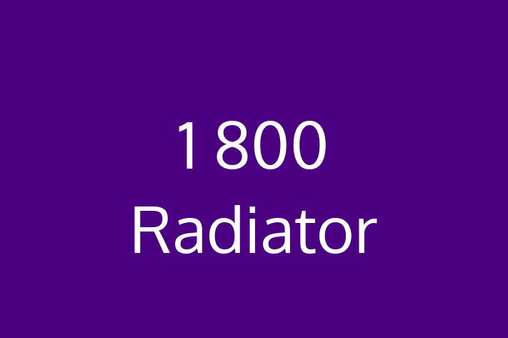 IT Company 1 800 Radiator