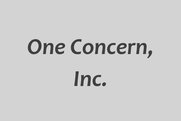 Software Firm One Concern Inc.