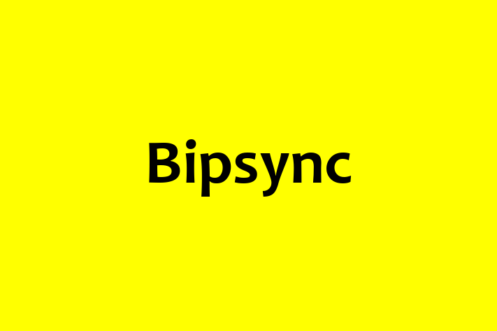 Software Engineering Company Bipsync