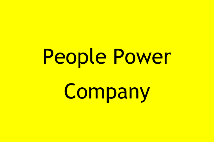 Electrical engineers People Power Company