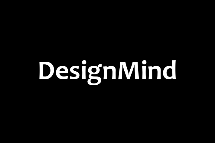 Software Firm DesignMind