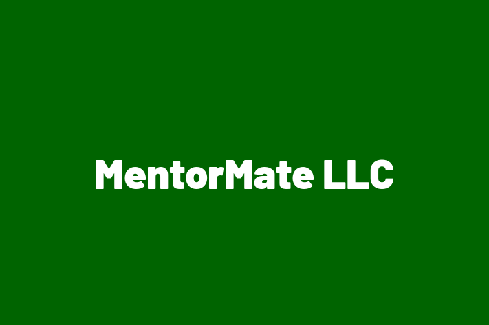 IT Company MentorMate LLC