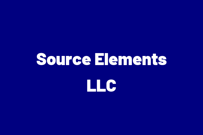 Digital Solutions Provider Source Elements LLC