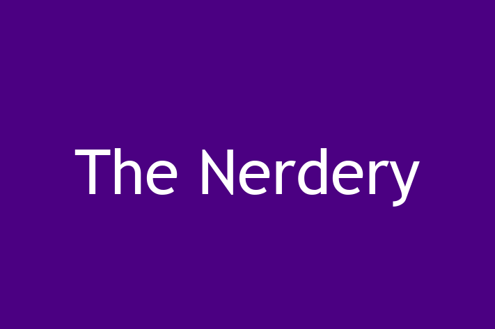 Application Development Company The Nerdery