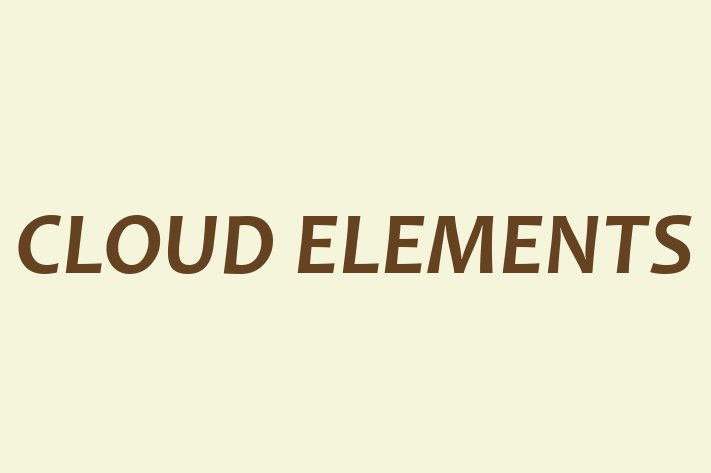 IT Company CLOUD ELEMENTS