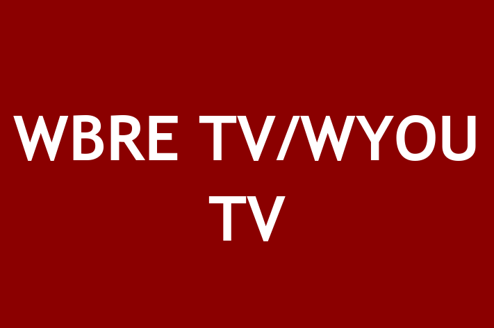 Software Development Company WBRE TVWYOU TV