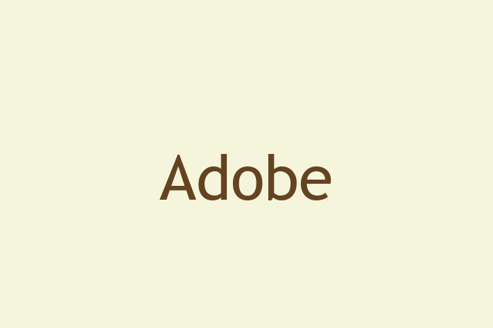 Software Development Company Adobe