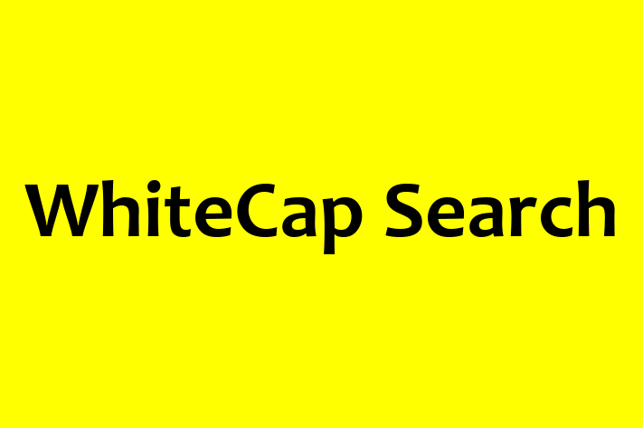 Human Capital Management WhiteCap Search