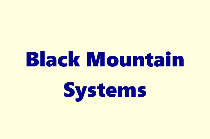 Tech Solutions Company Black Mountain Systems