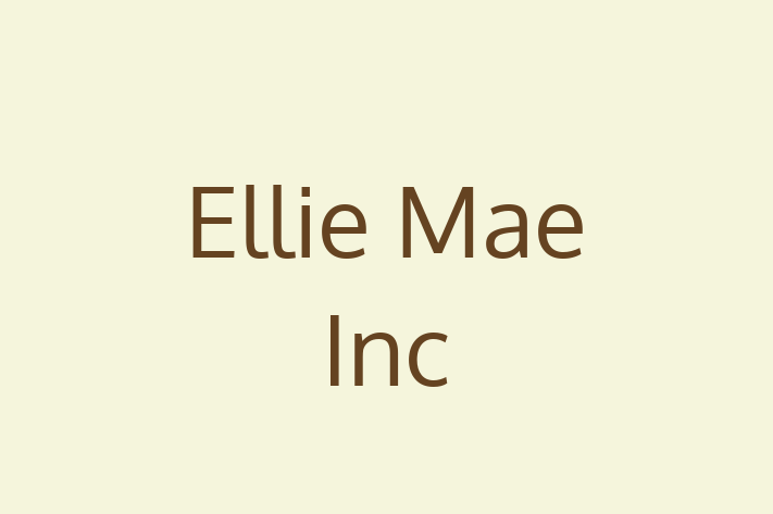 Digital Solutions Provider Ellie Mae Inc