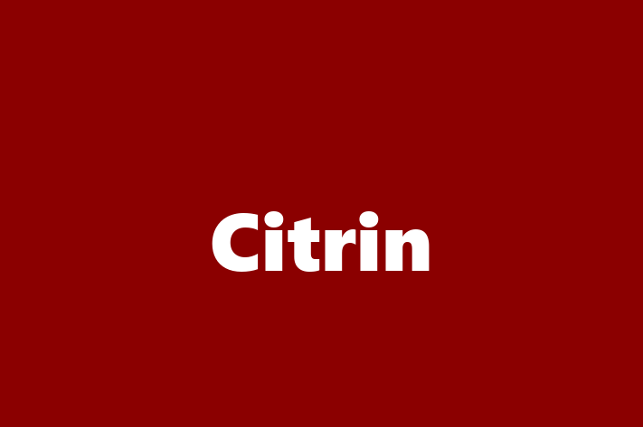 Employee Resource Management Citrin