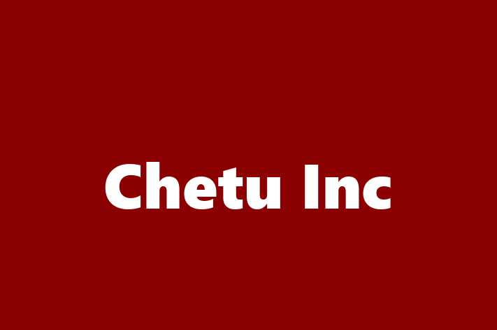 Software Development Company Chetu Inc