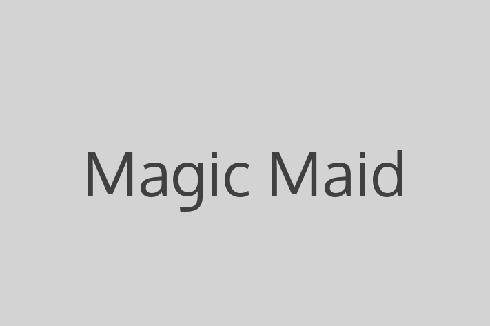 Home Cleaning Magic Maid