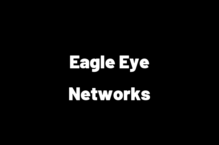 Software Development Company Eagle Eye Networks