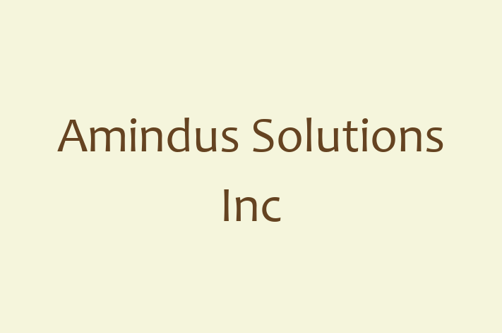 Software Engineering Company Amindus Solutions Inc