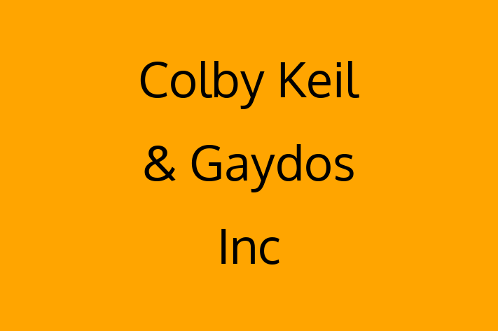 Professional Accountant Colby Keil Gaydos Inc