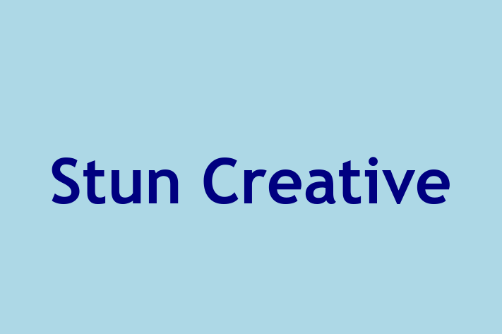 Software Firm Stun Creative