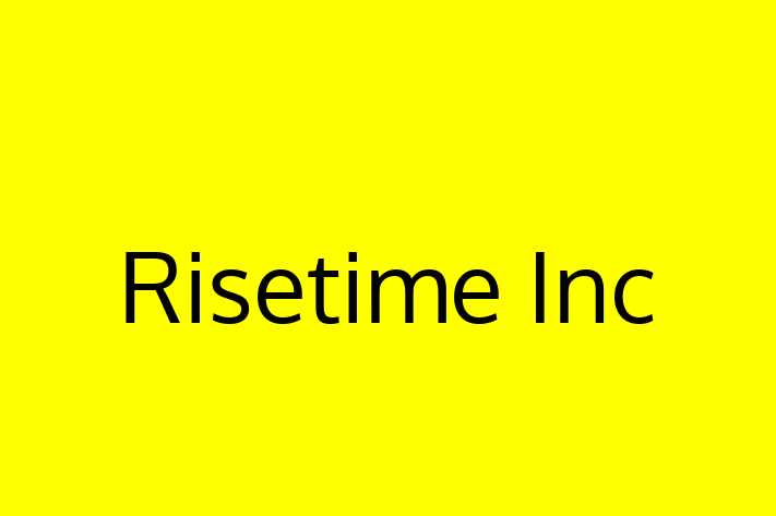 Software Services Company Risetime Inc