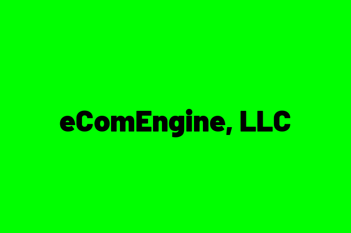 Software Development Firm eComEngine LLC