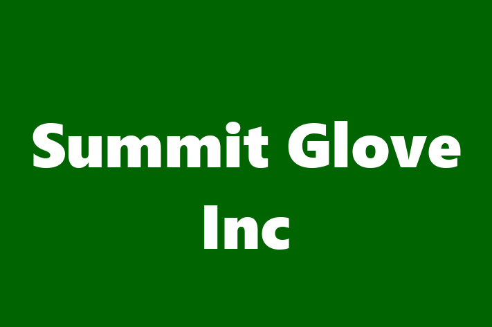 Software Development Company Summit Glove Inc